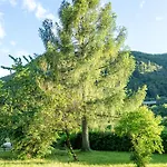 Apartma Pod Macesnom Jesenice