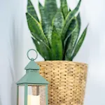 Apartma Pod Macesnom * Jesenice