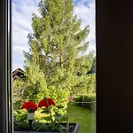 Apartma Pod Macesnom Apartment Jesenice