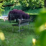 Apartma Pod Macesnom Apartment Jesenice