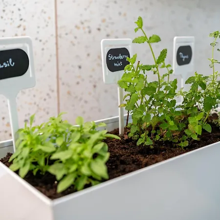 Appartamento Apartma Pod Macesnom