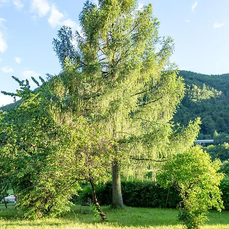 Apartma Pod Macesnom Jesenice