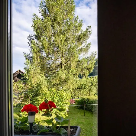 Under The Larch Daire Jesenice