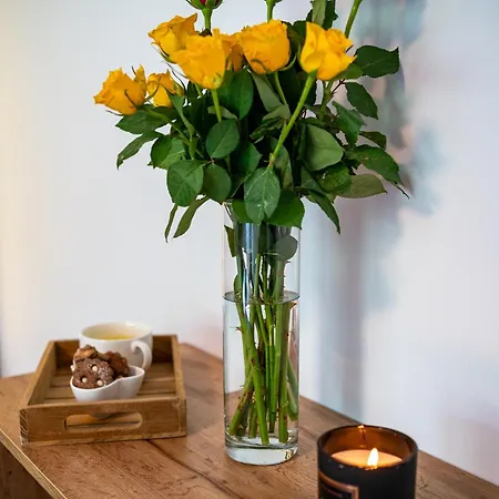 Apartma Pod Macesnom