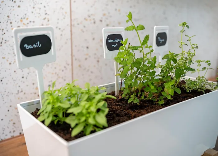 아파트 Apartma Pod Macesnom