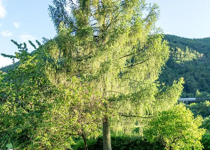 Apartma Pod Macesnom 예세니체