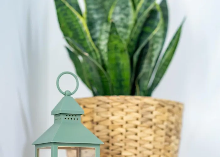 Apartma Pod Macesnom * Jesenice