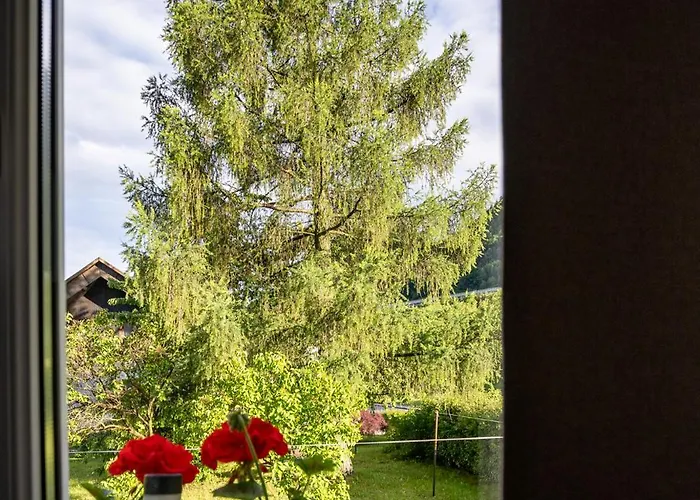 Apartma Pod Macesnom Appartement Jesenice