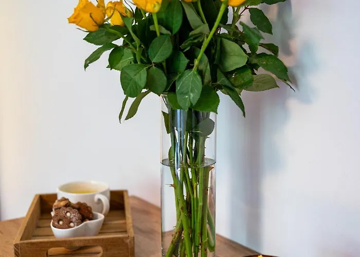 Apartma Pod Macesnom